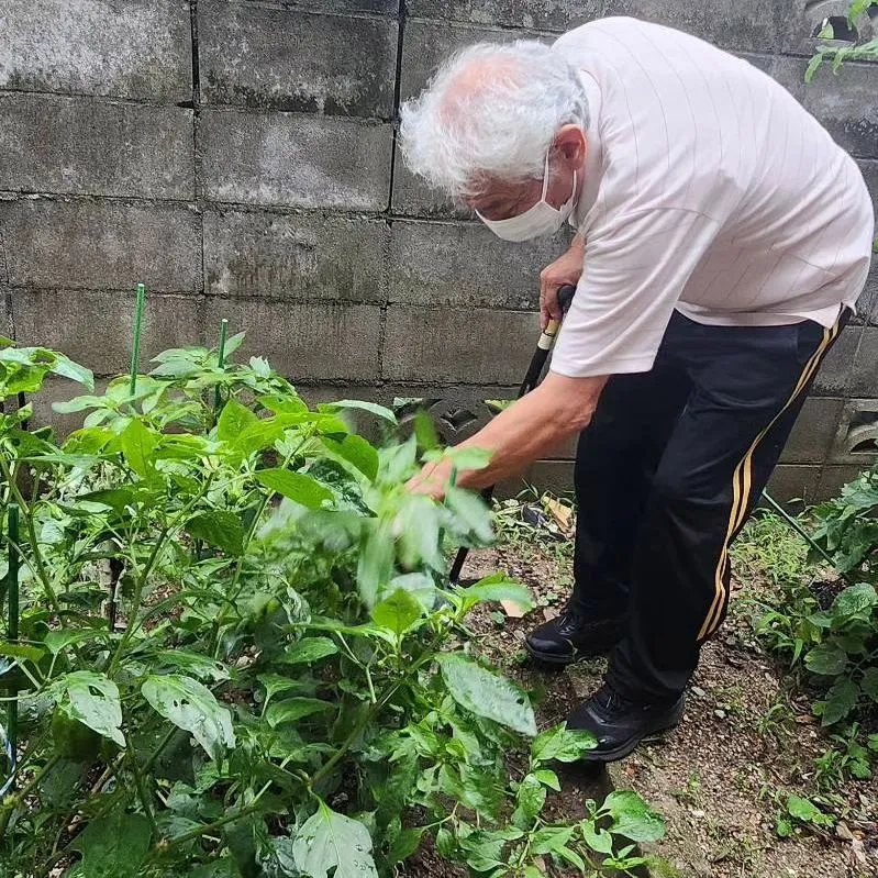 大雨の後の畑の手直しですが、ご利用者さんにも指導して頂きまし...