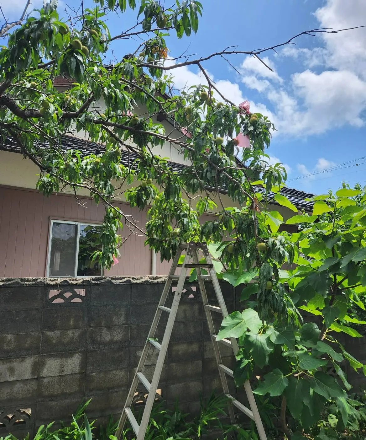 久しぶりの投稿なので何回かに分けての投稿です