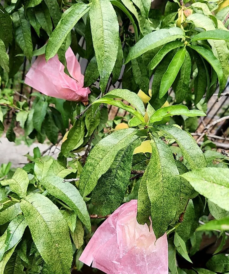 久しぶりの投稿なので何回かに分けての投稿です