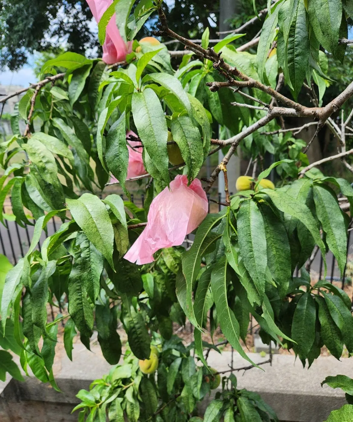 久しぶりの投稿なので何回かに分けての投稿です