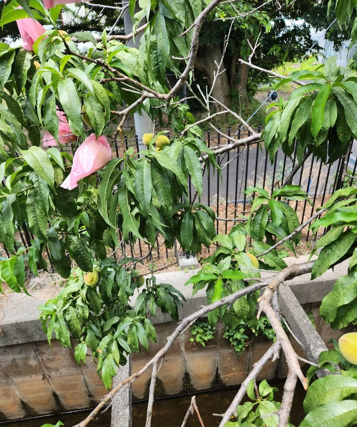 久しぶりの投稿なので何回かに分けての投稿です