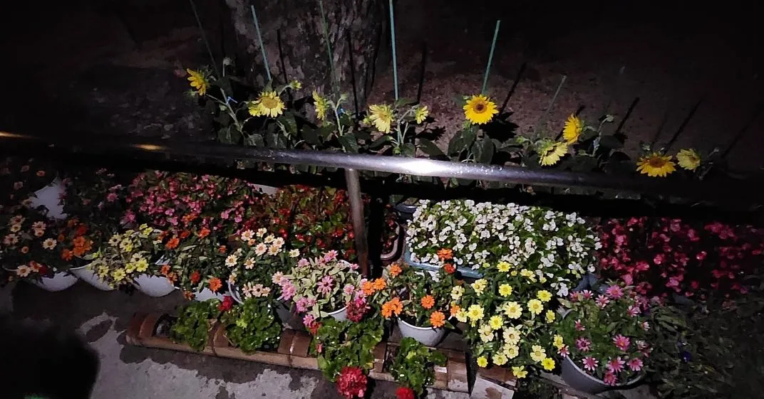 ２つ目の投稿👀👀