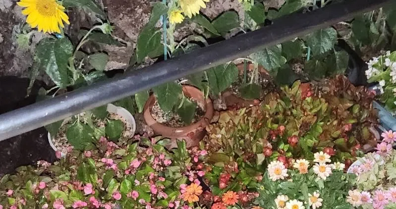 ２つ目の投稿👀👀