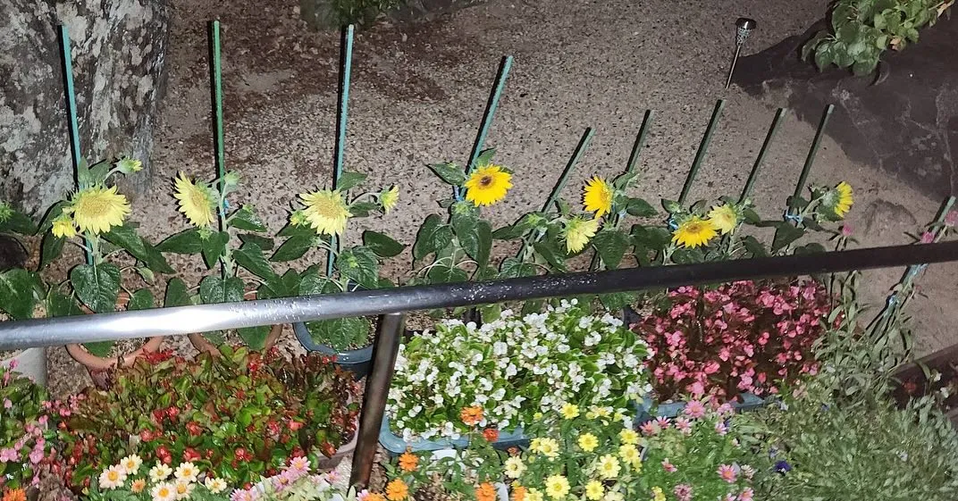 ２つ目の投稿👀👀