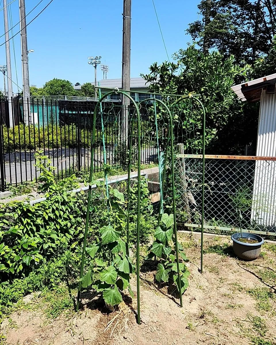 投稿３つ目👀👀👀