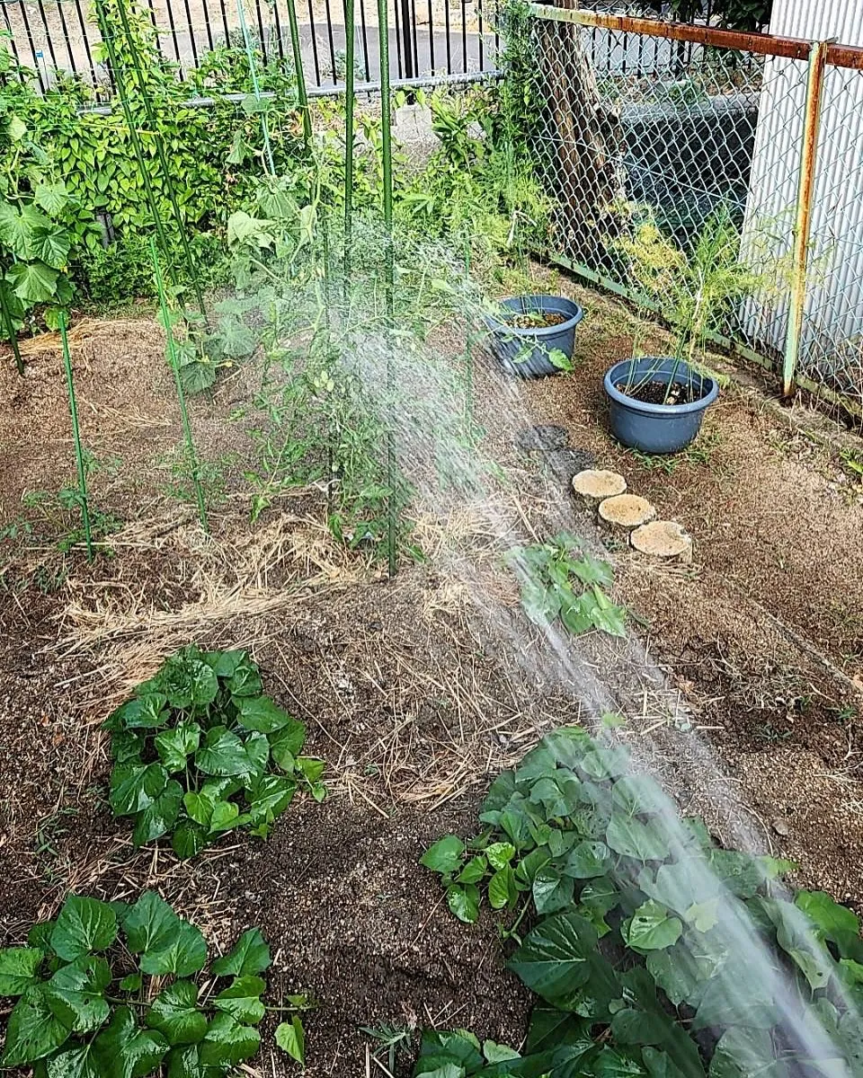 投稿３つ目👀👀👀