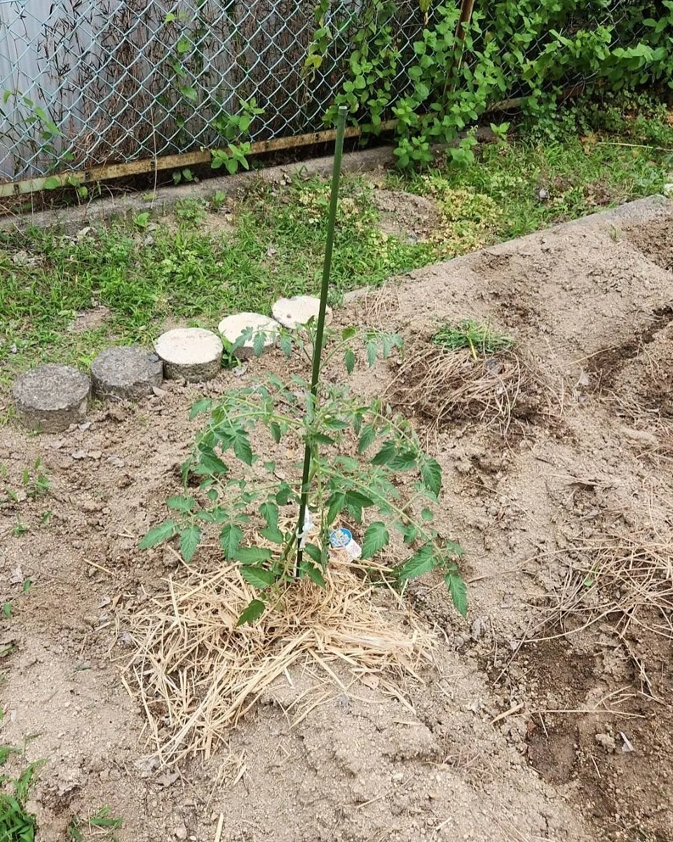 投稿３つ目👀👀👀