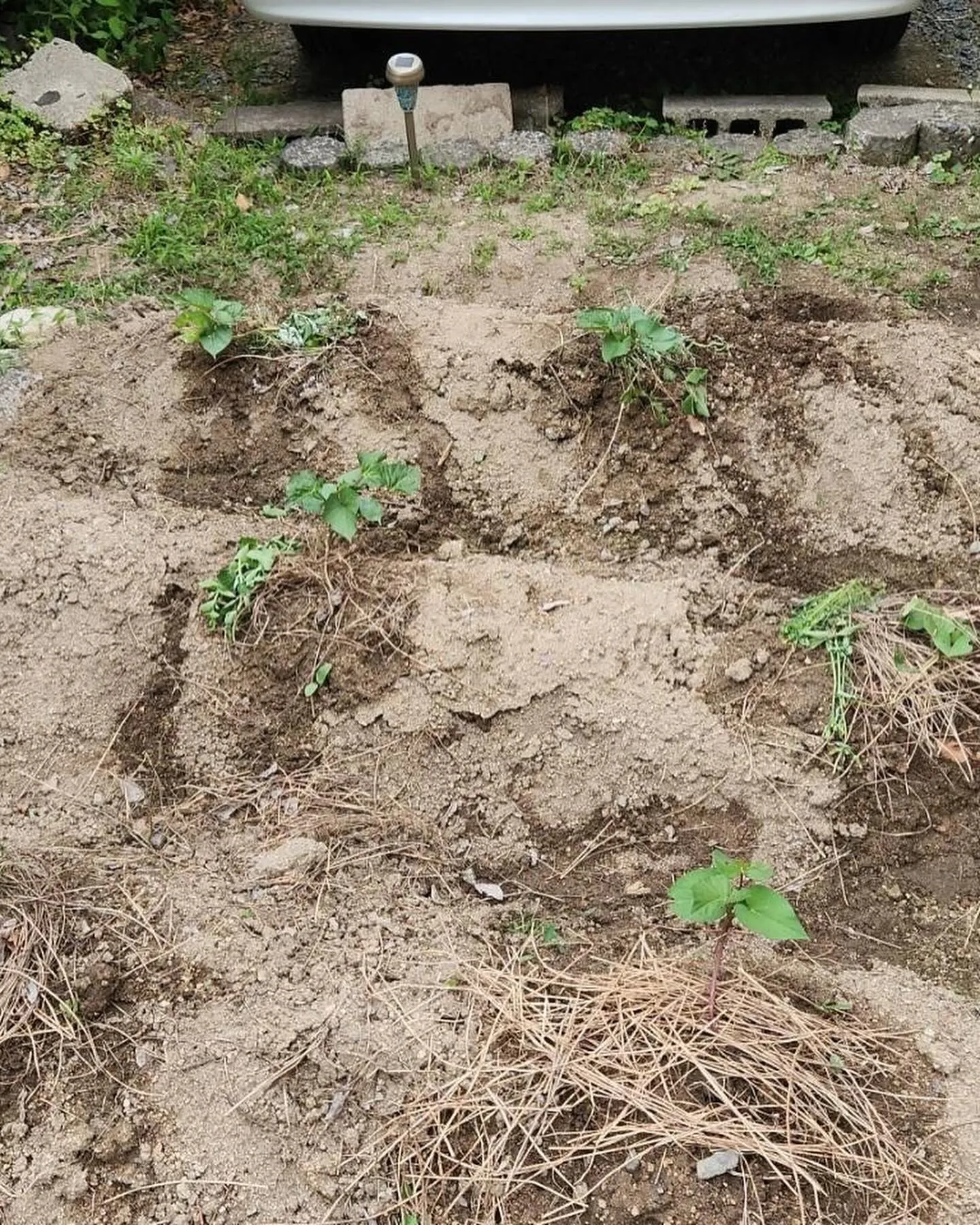 投稿３つ目👀👀👀