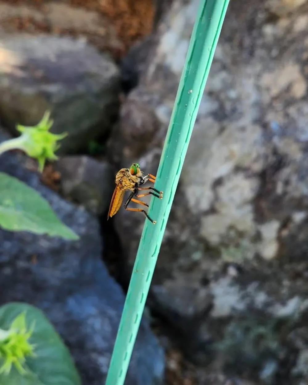 ４つ目👀👀👀👀の投稿