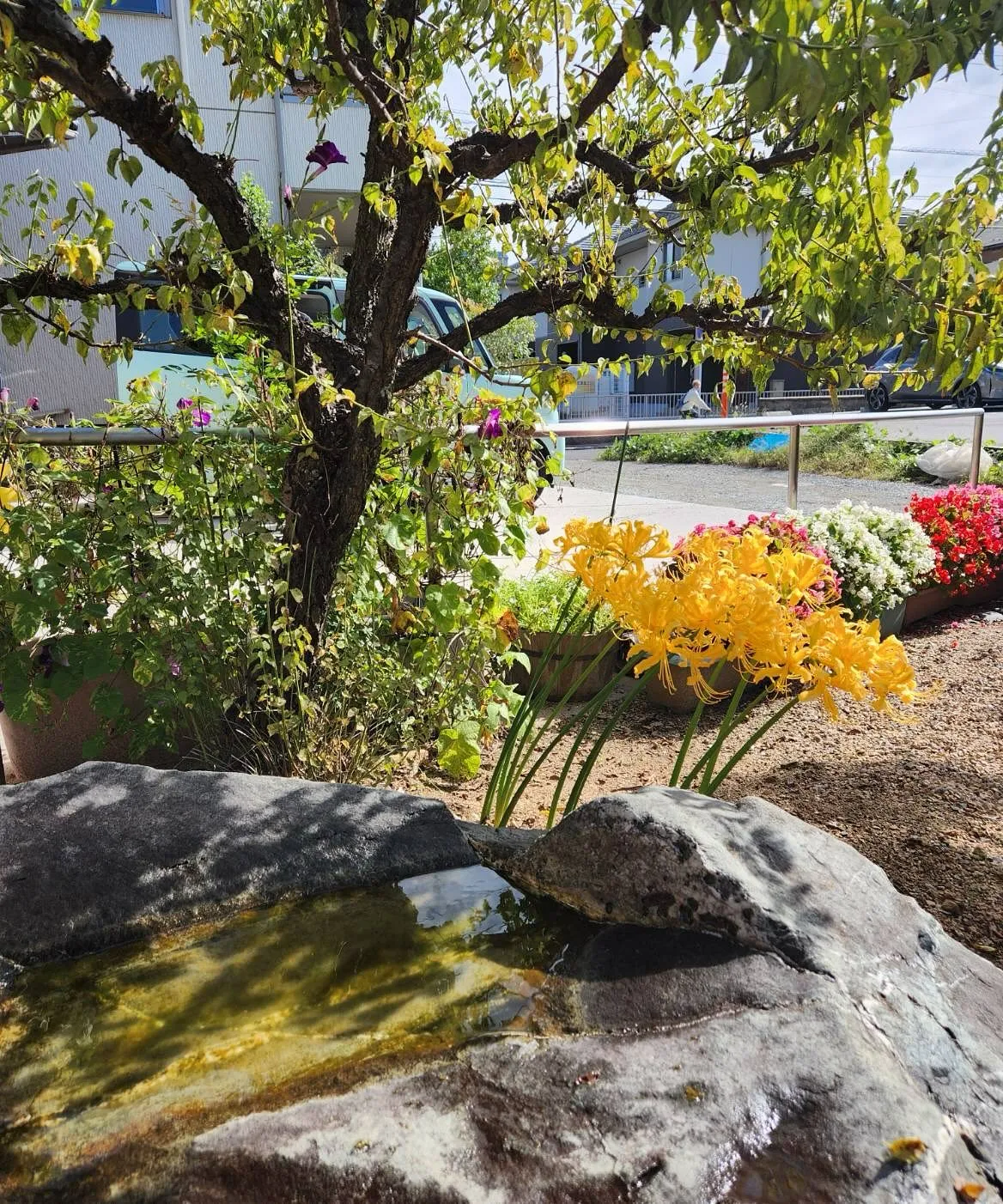 おはようございます☀