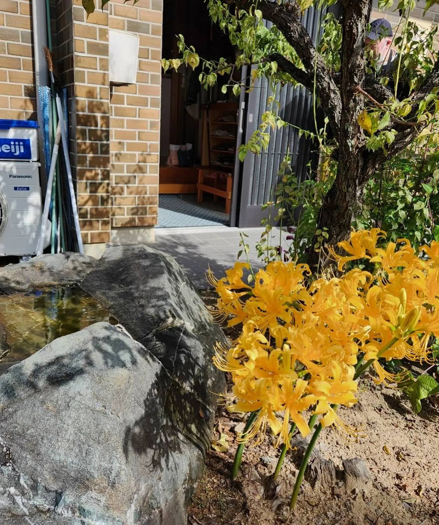 おはようございます☀