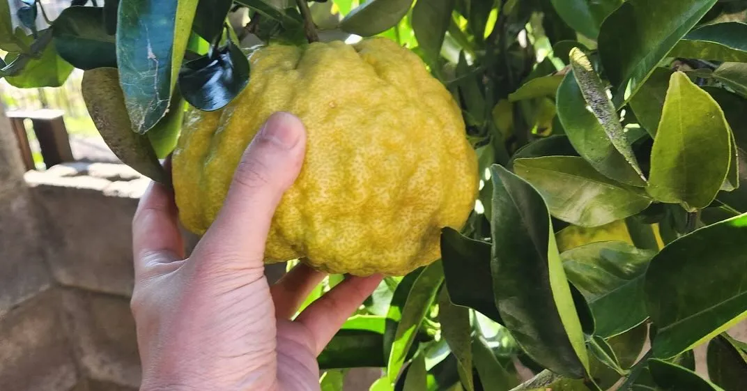 明日で10月も終わりますね