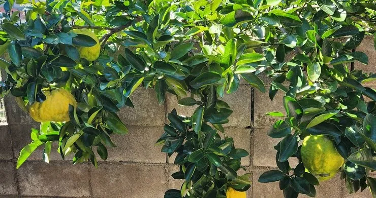 明日で10月も終わりますね