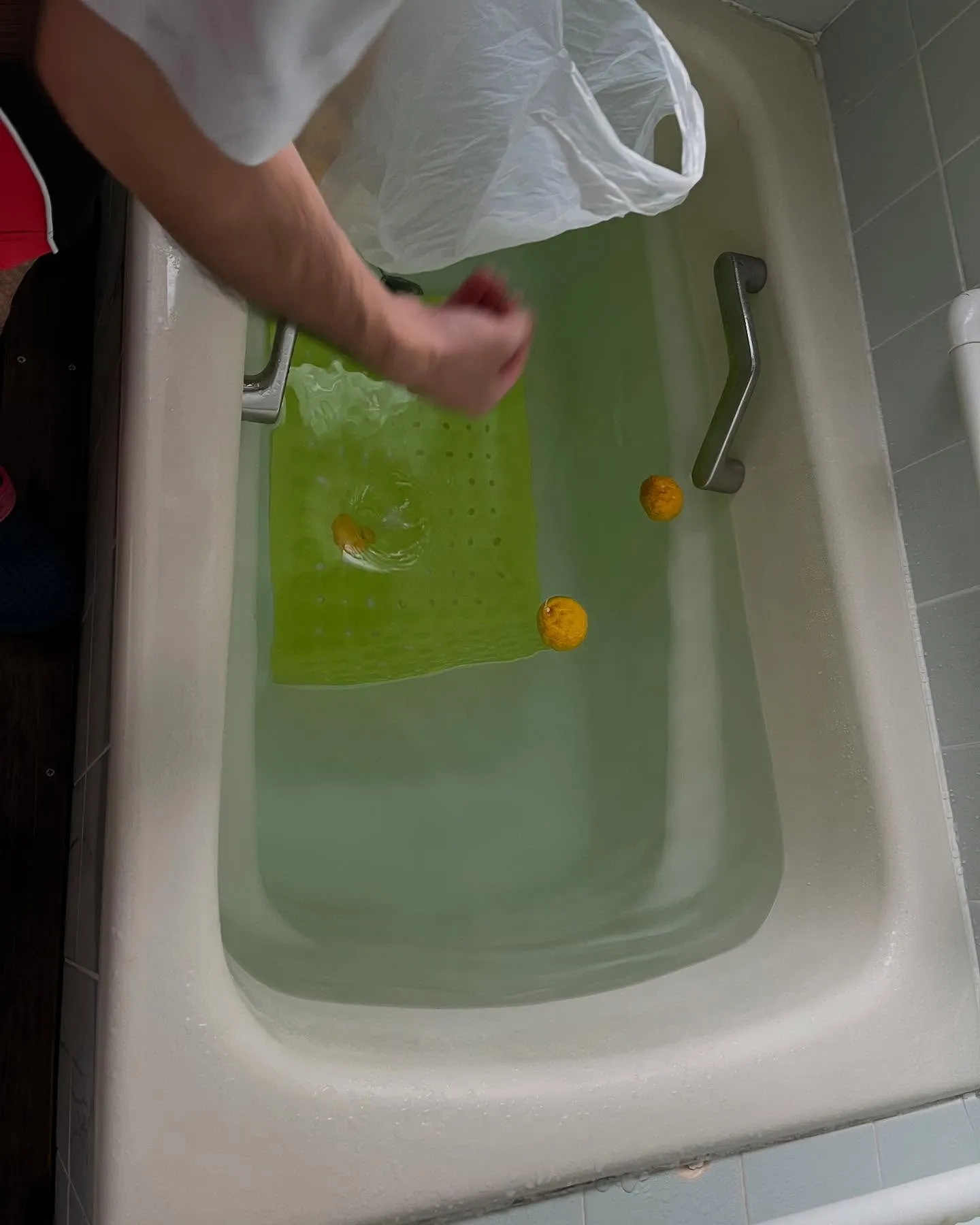 少し前の写真です