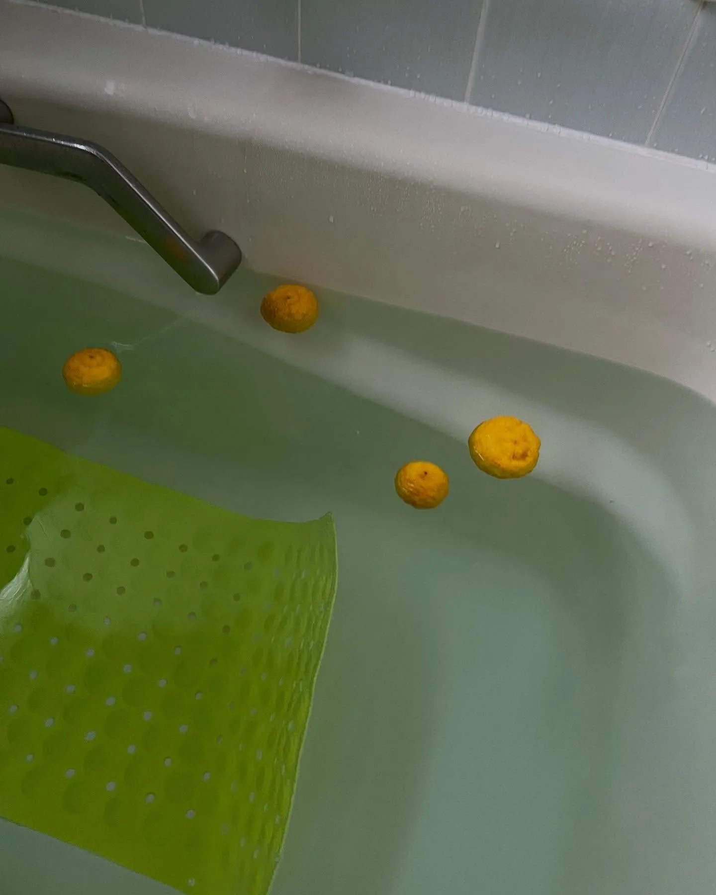 少し前の写真です