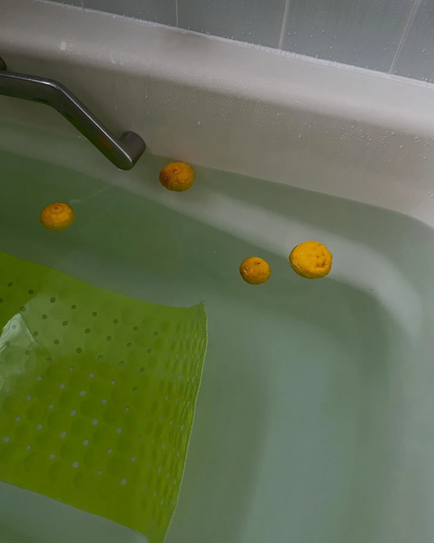 少し前の写真です