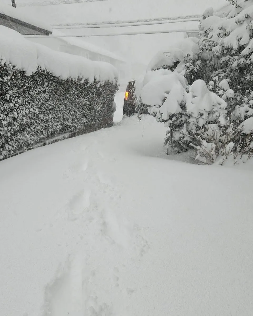 昨日からの積雪が多すぎて、除雪が困難な状態です