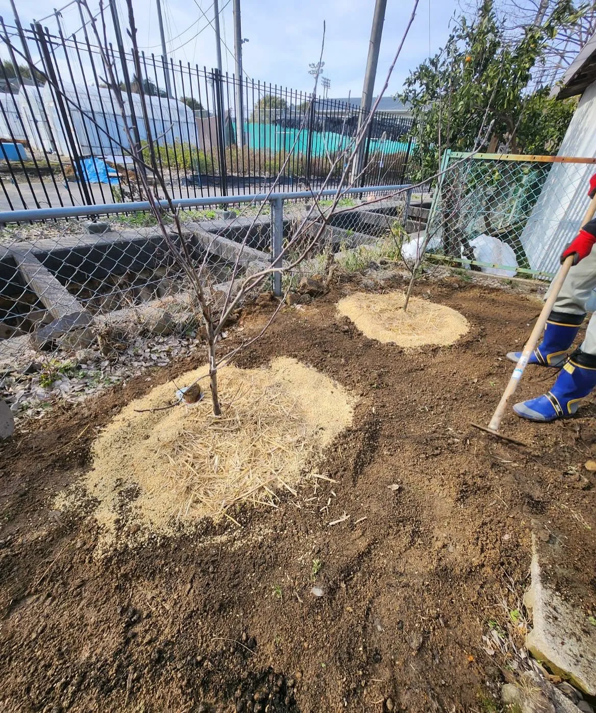 先日の土曜日のお話