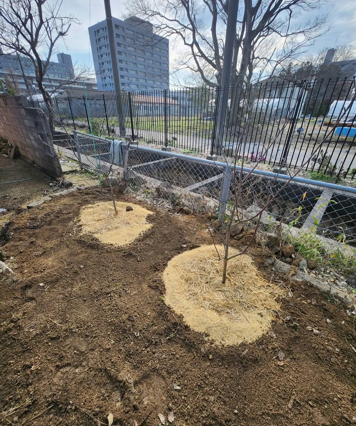 先日の土曜日のお話