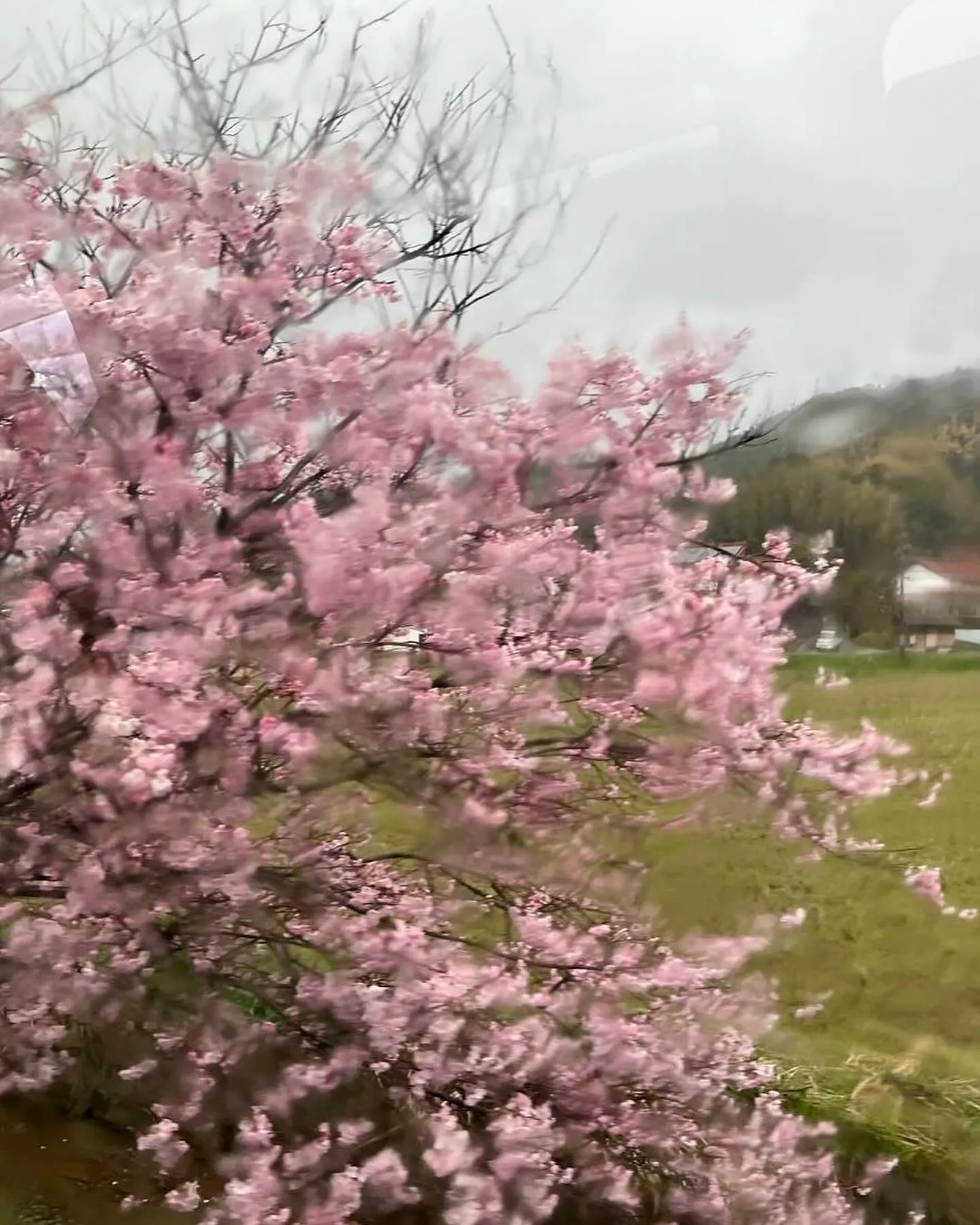 今日から4月1日新しい年度になりました。