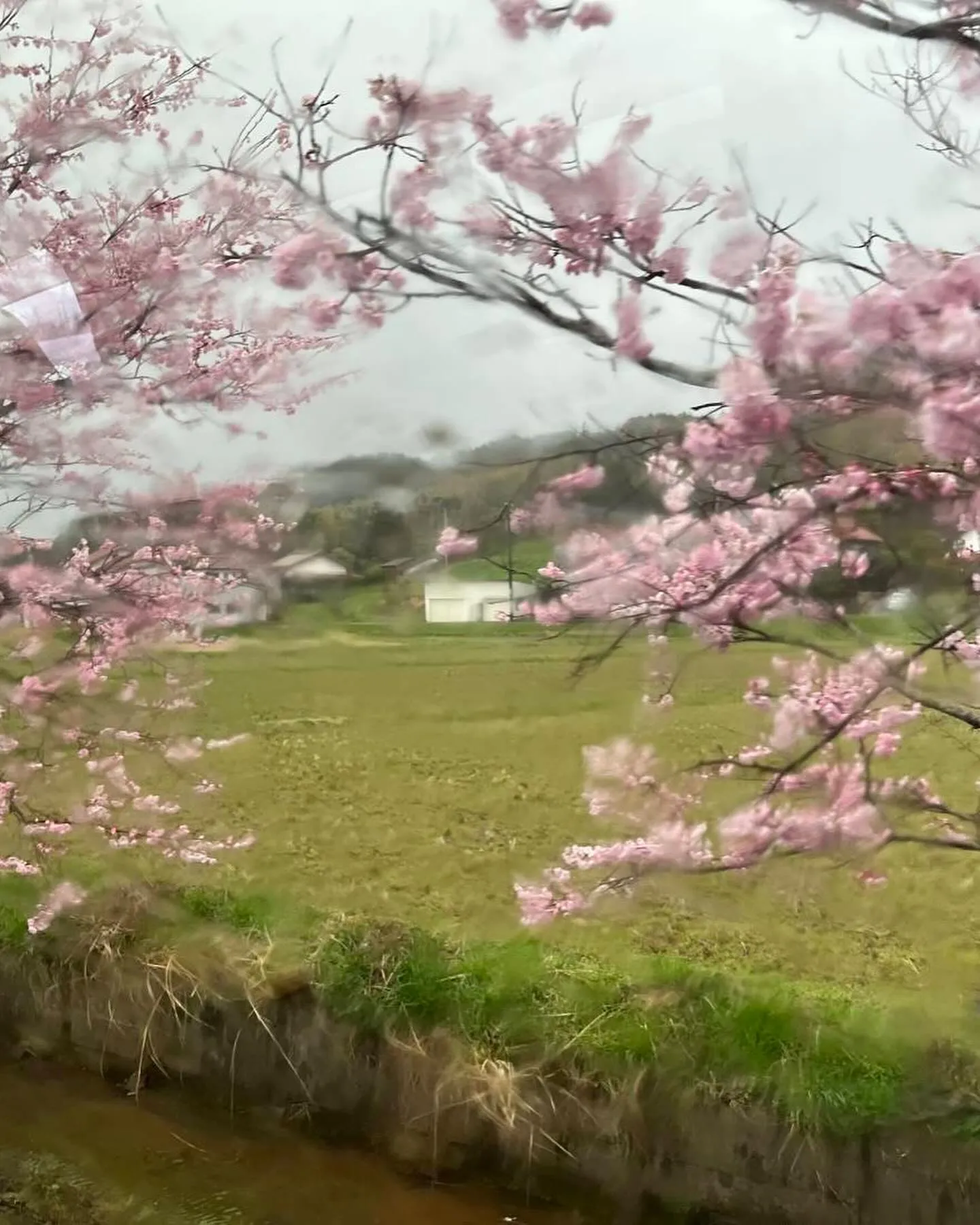 今日から4月1日新しい年度になりました。