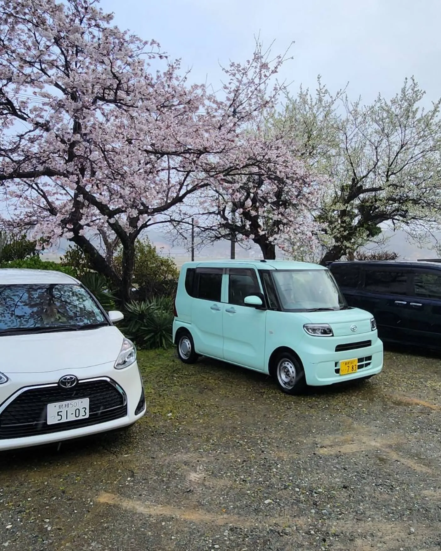 今日から4月1日新しい年度になりました。