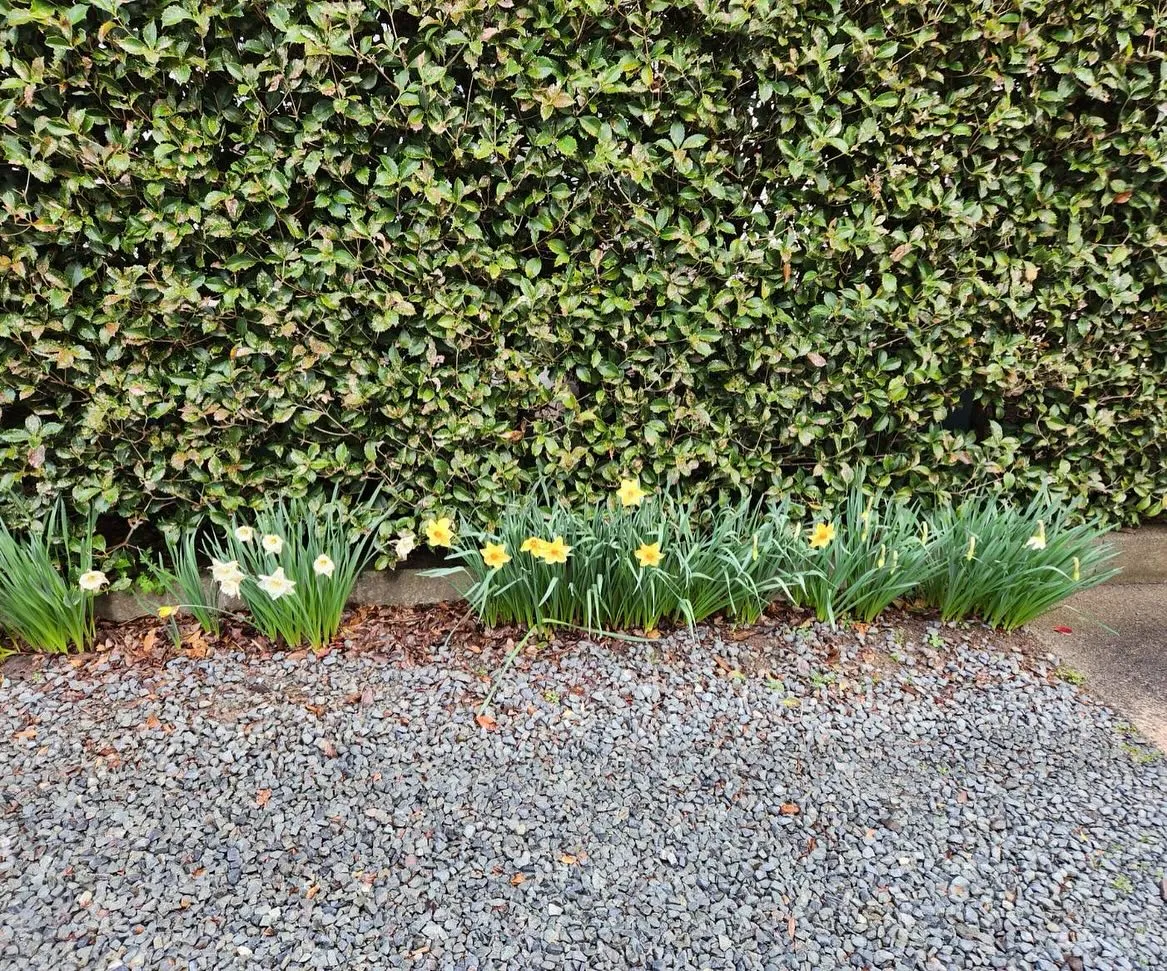 4月3日金曜日🥇