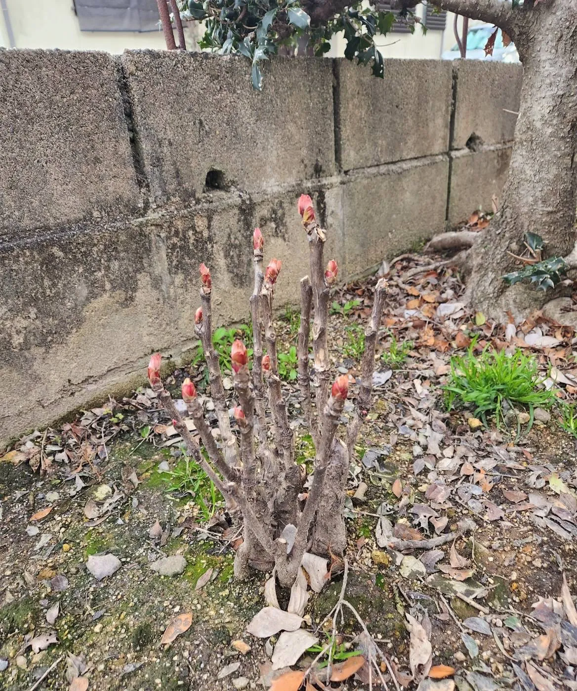 4月3日金曜日🥇🥇