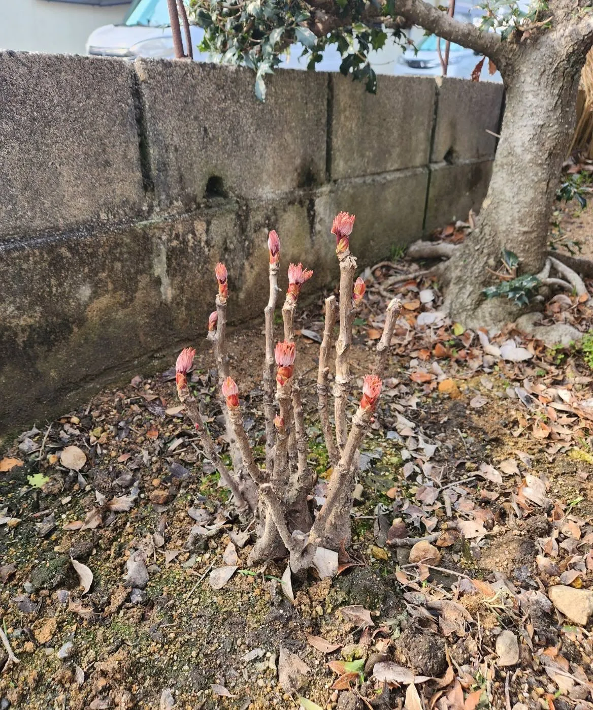 4月3日金曜日🥇🥇