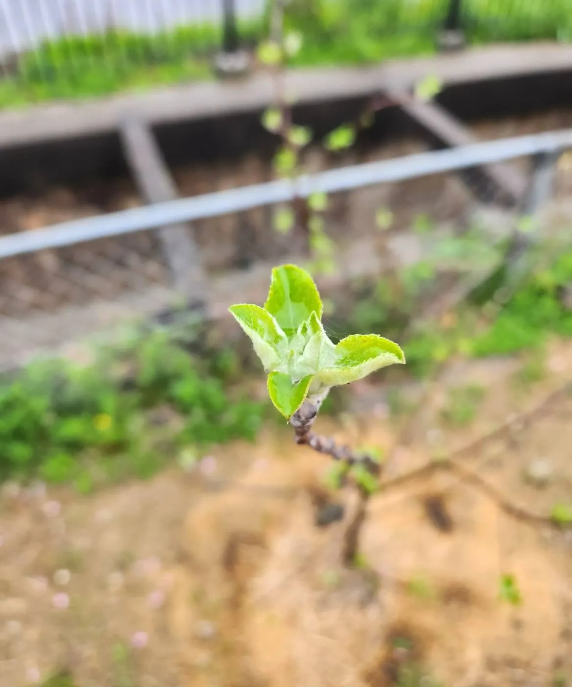 4月7日火曜日🔥