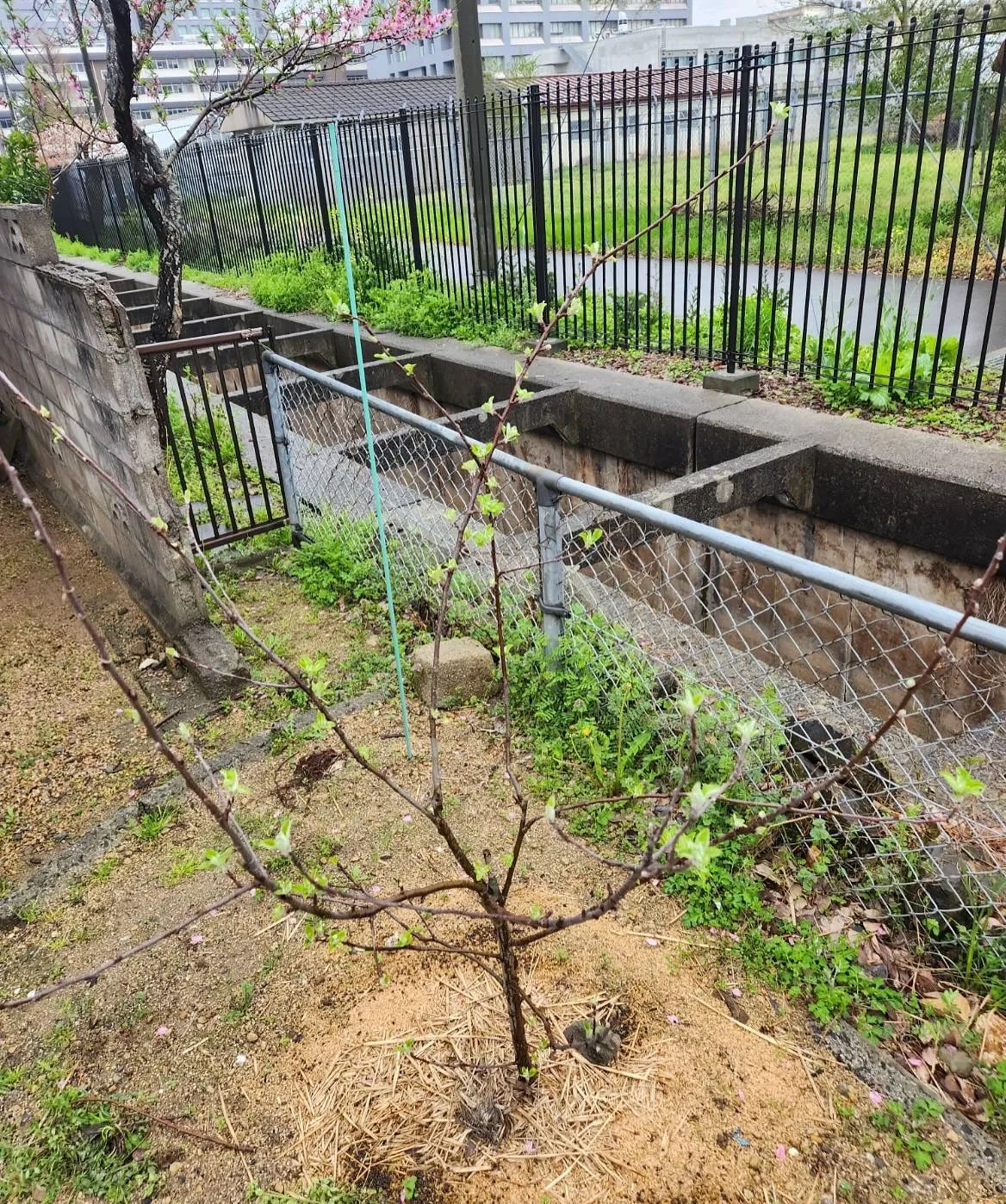 4月7日火曜日🔥