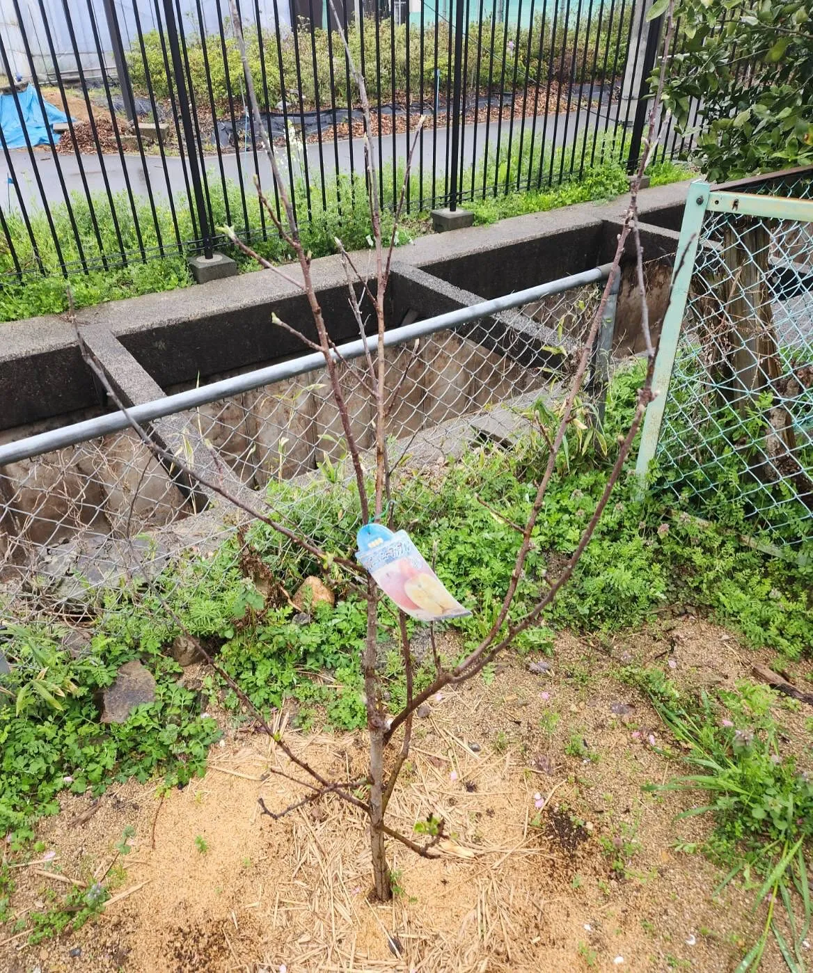 4月7日火曜日🔥