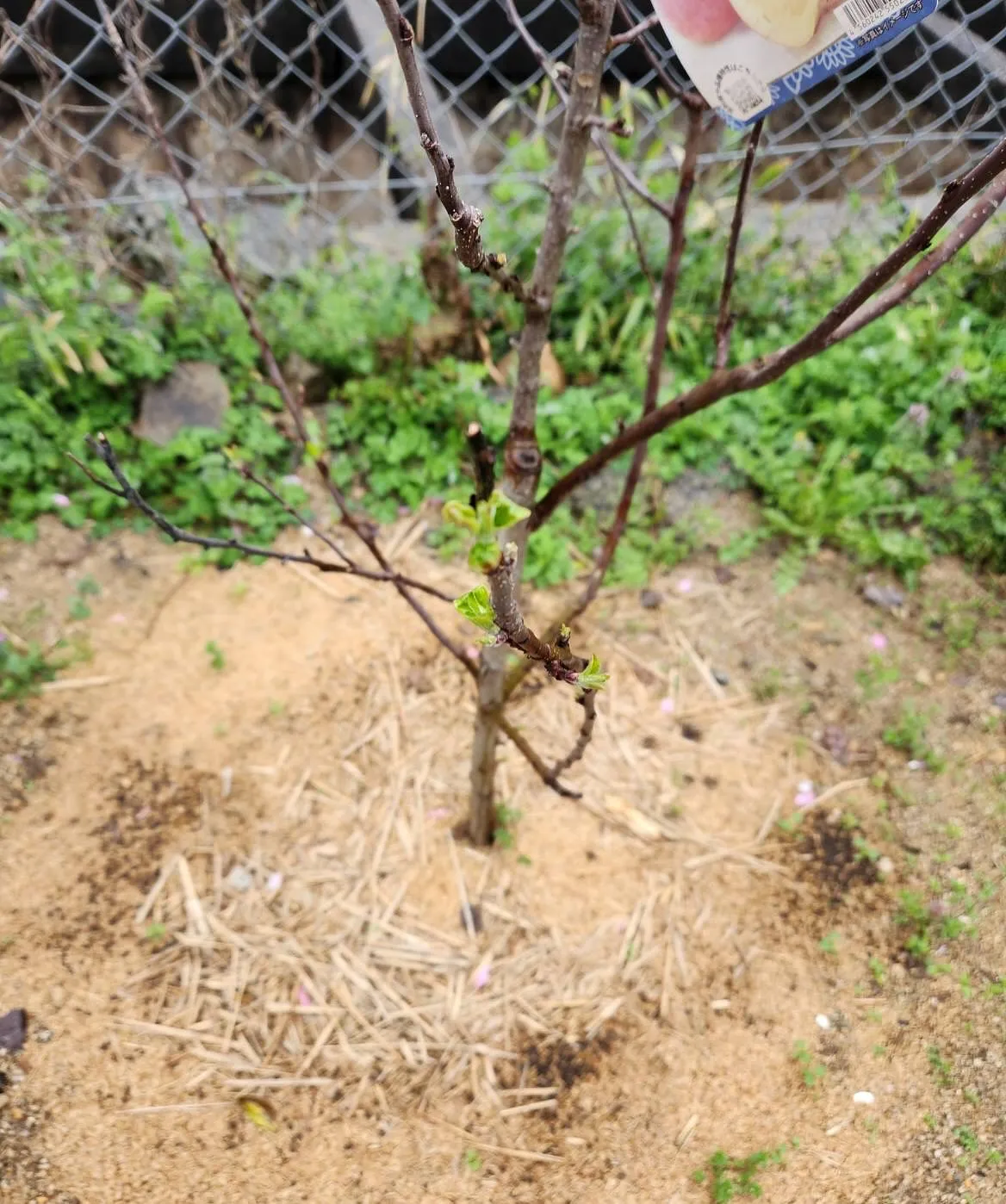 4月7日火曜日🔥