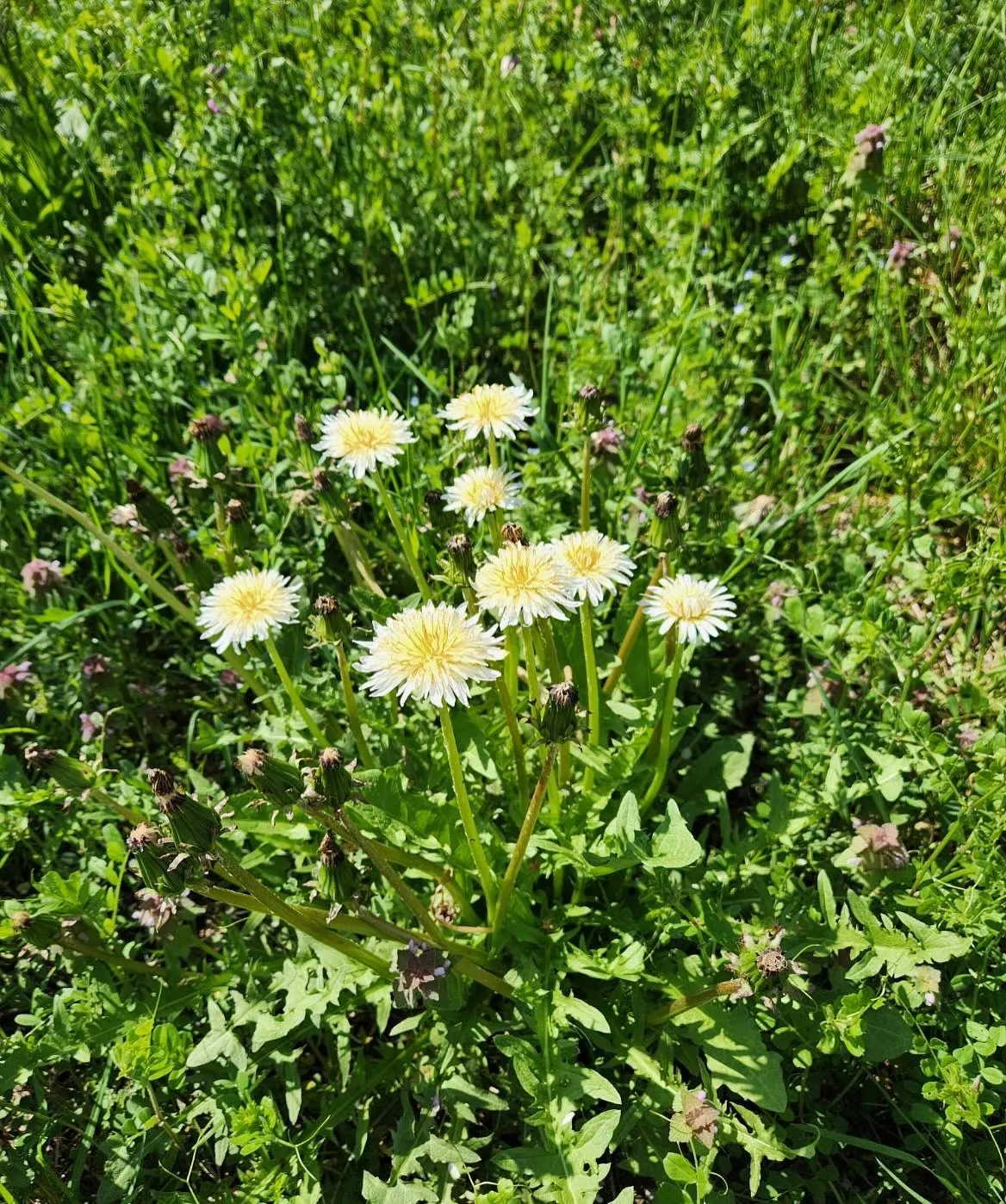 4月8日水曜日💧