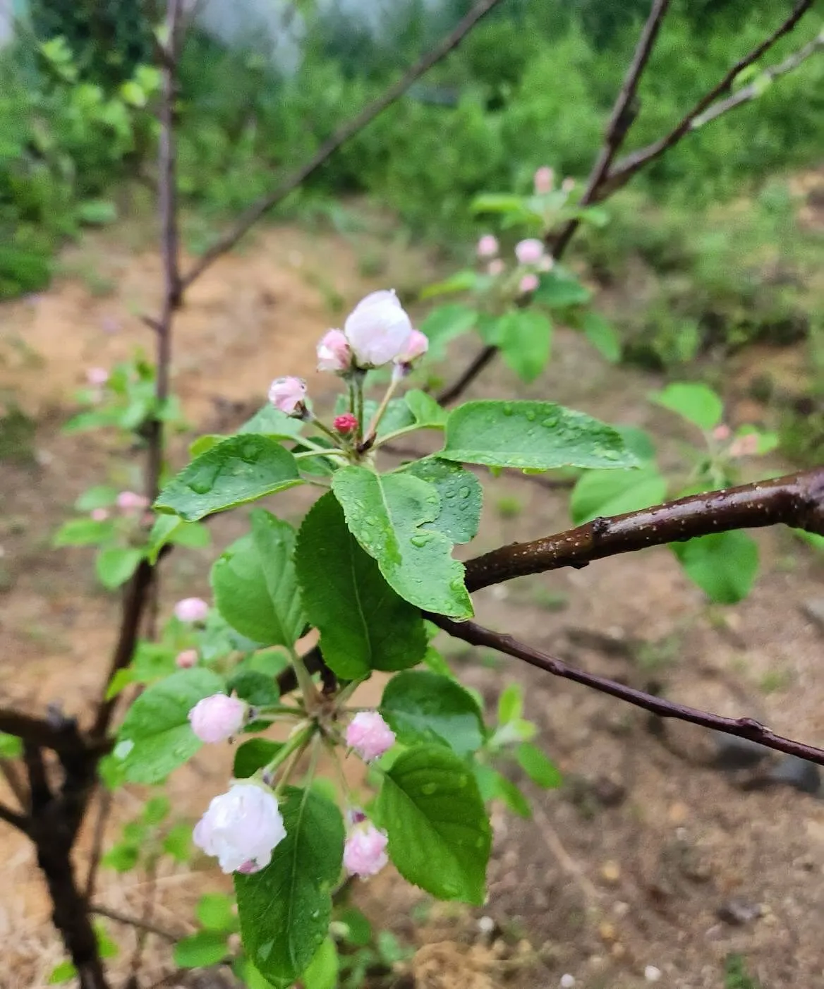4月16日木曜日☀️