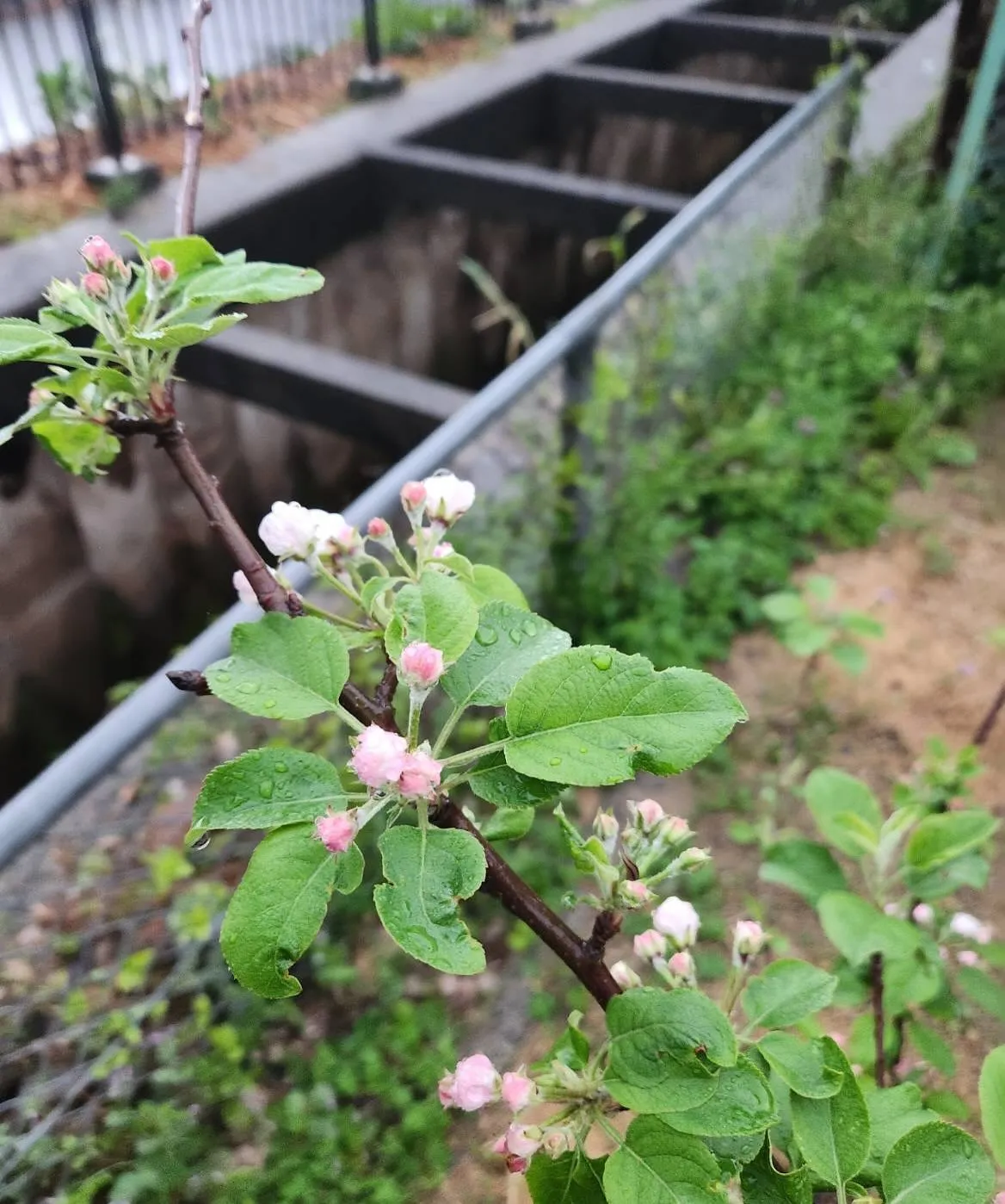 4月16日木曜日☀️