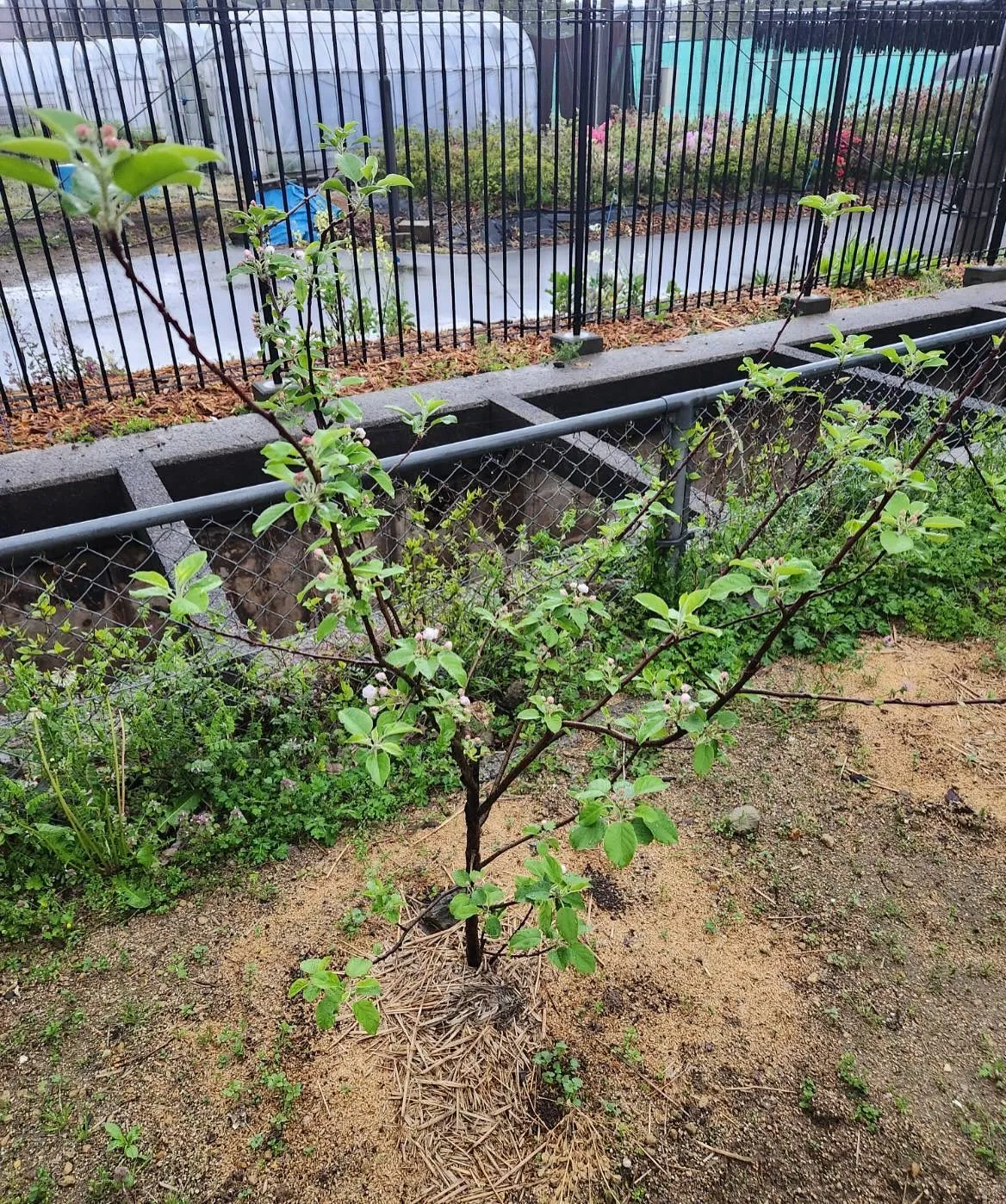 4月16日木曜日☀️