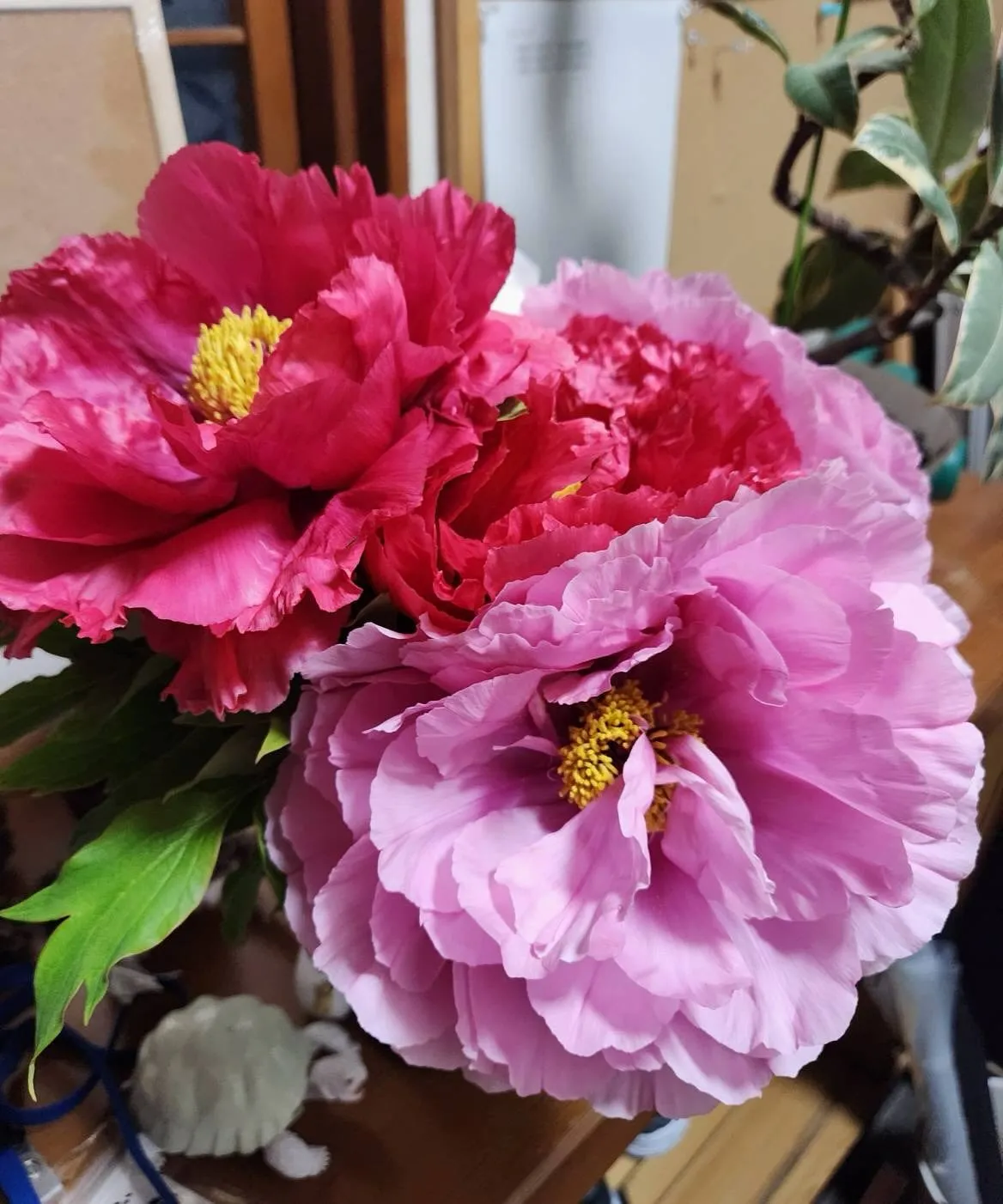 4月20日月曜日🌙* :ﾟ