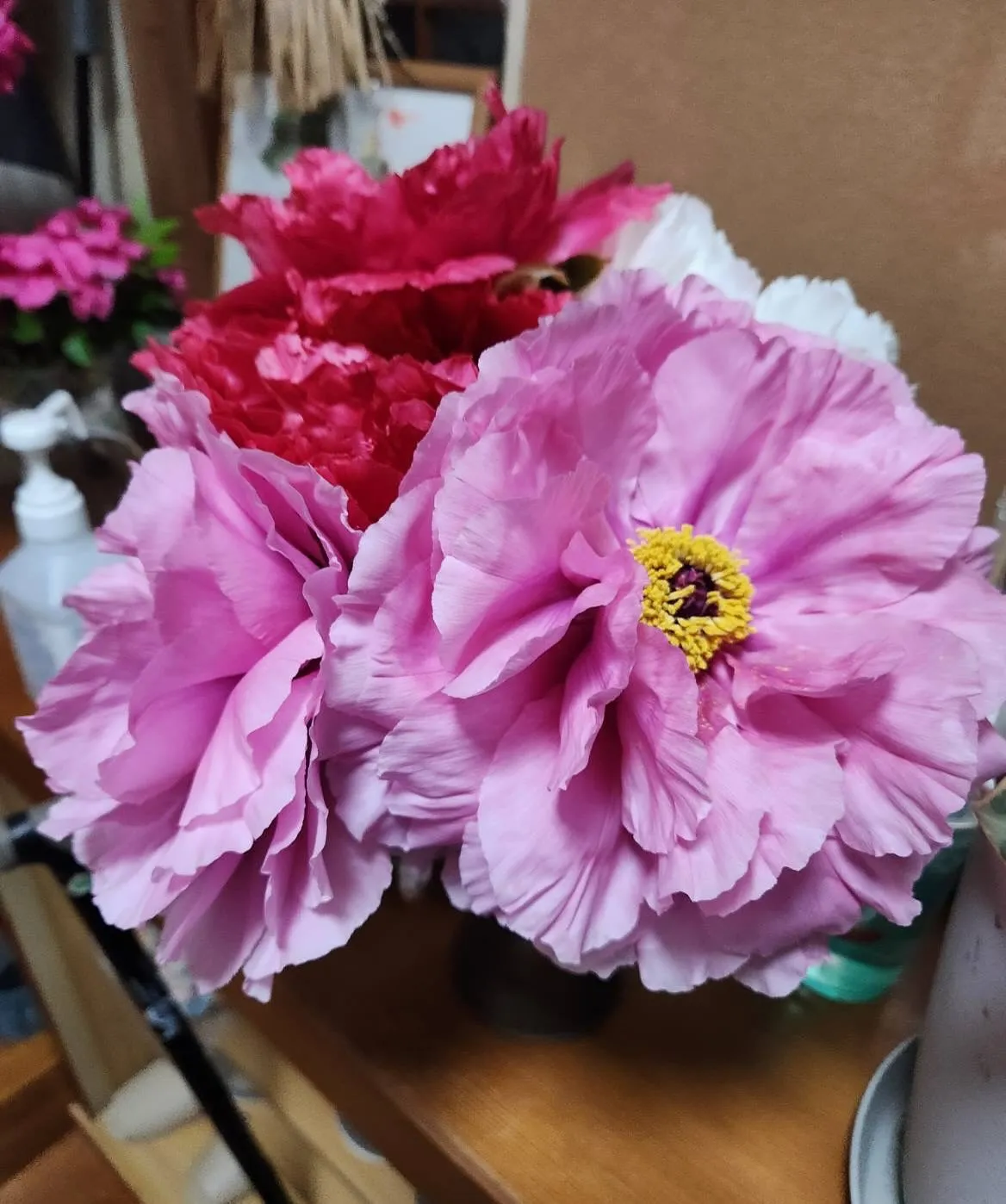 4月20日月曜日🌙* :ﾟ