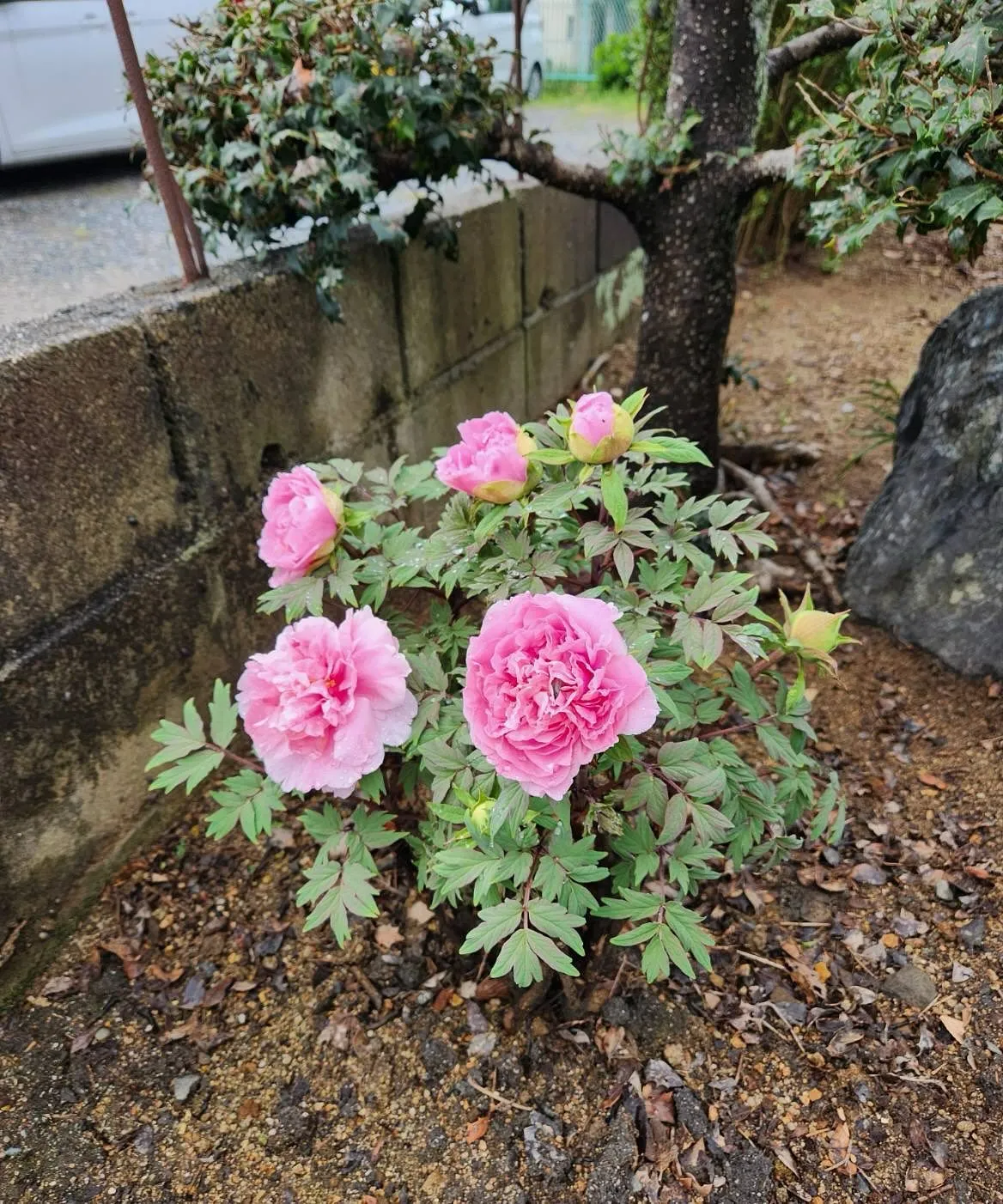 4月27日 月曜日🌙* :ﾟ
