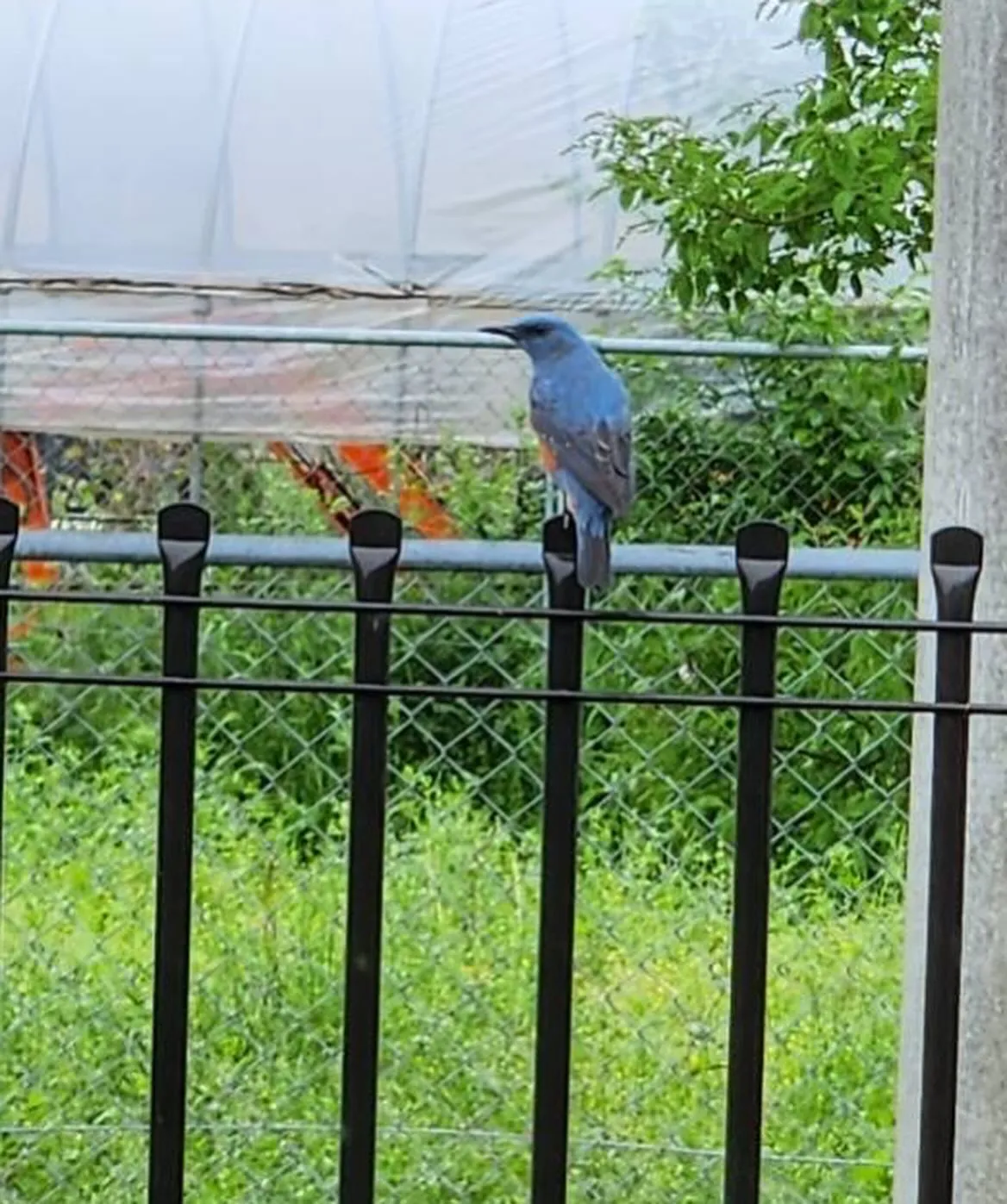 4月29日 水曜日🎌㊗️