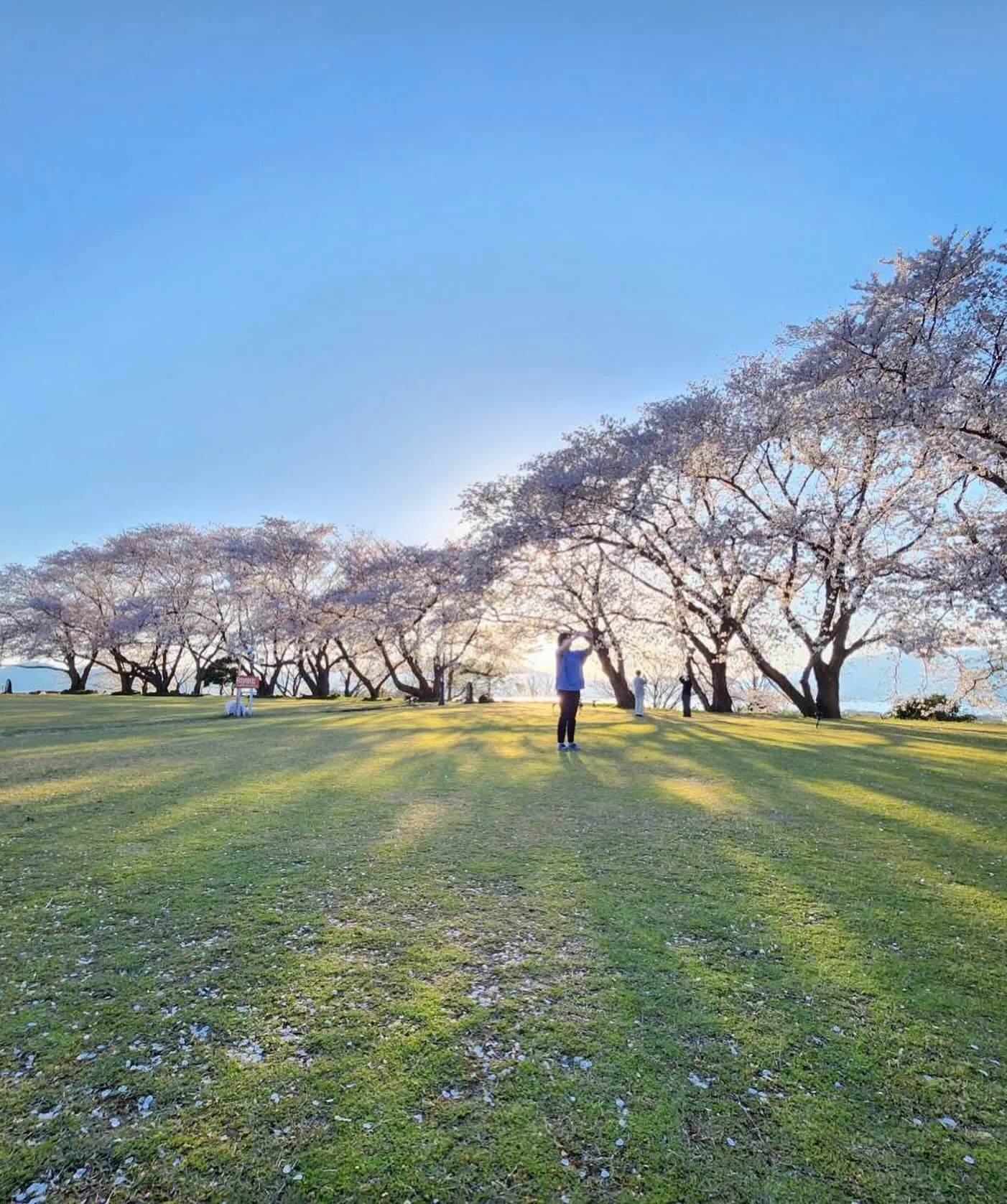 4月30日 木曜日🌳☔️