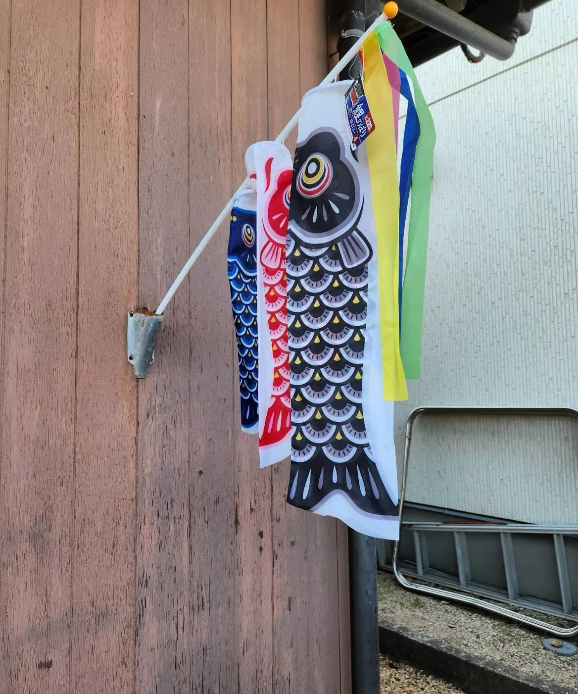 5月6日 水曜日🎌