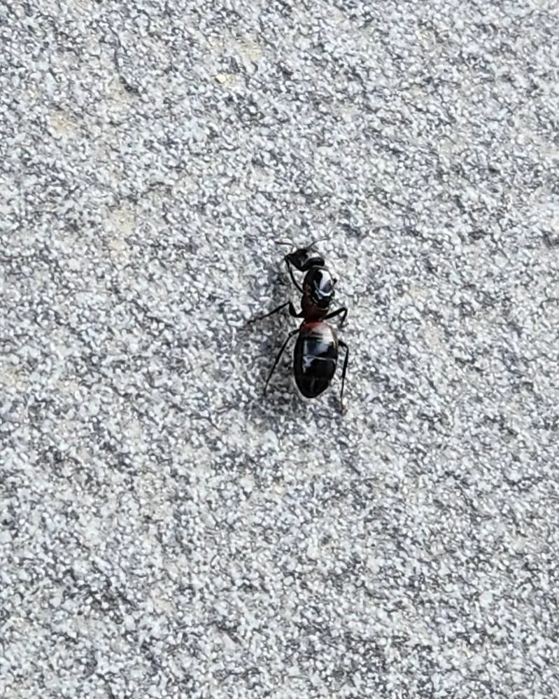 5月12日 火曜日🐜