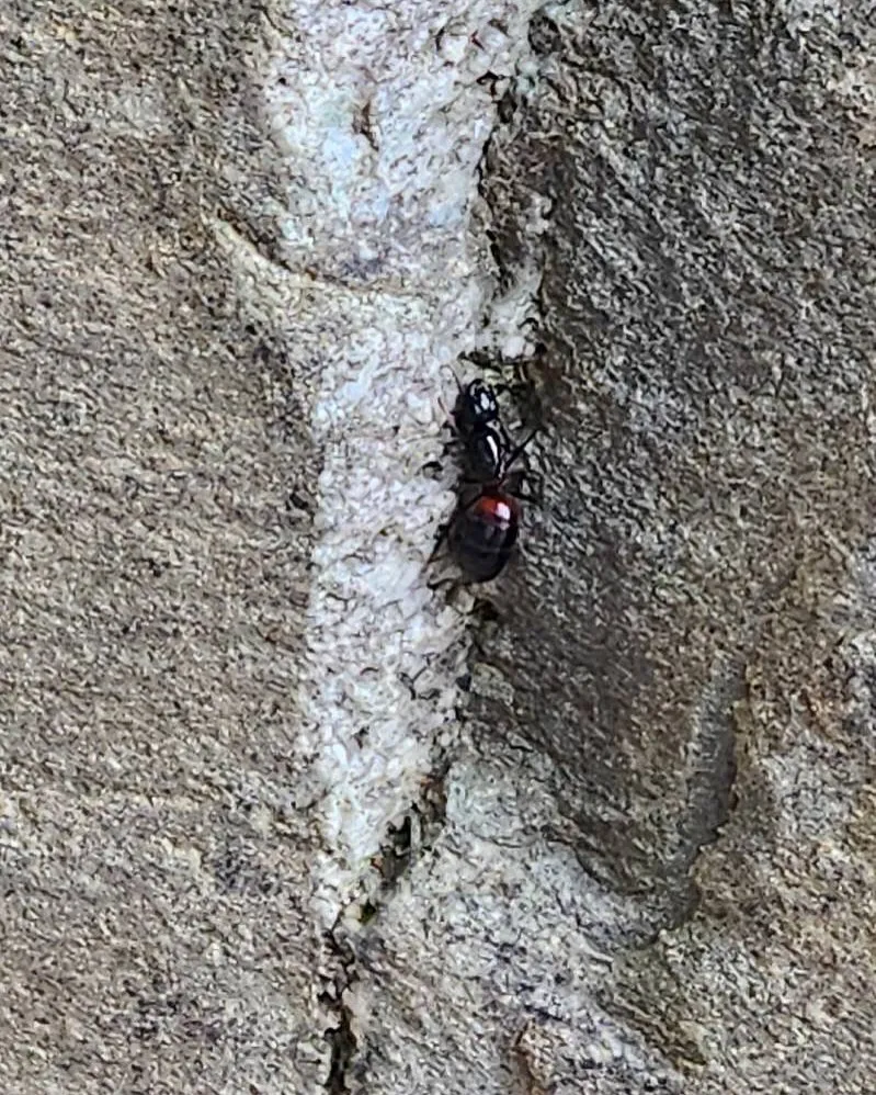 5月12日 火曜日🐜