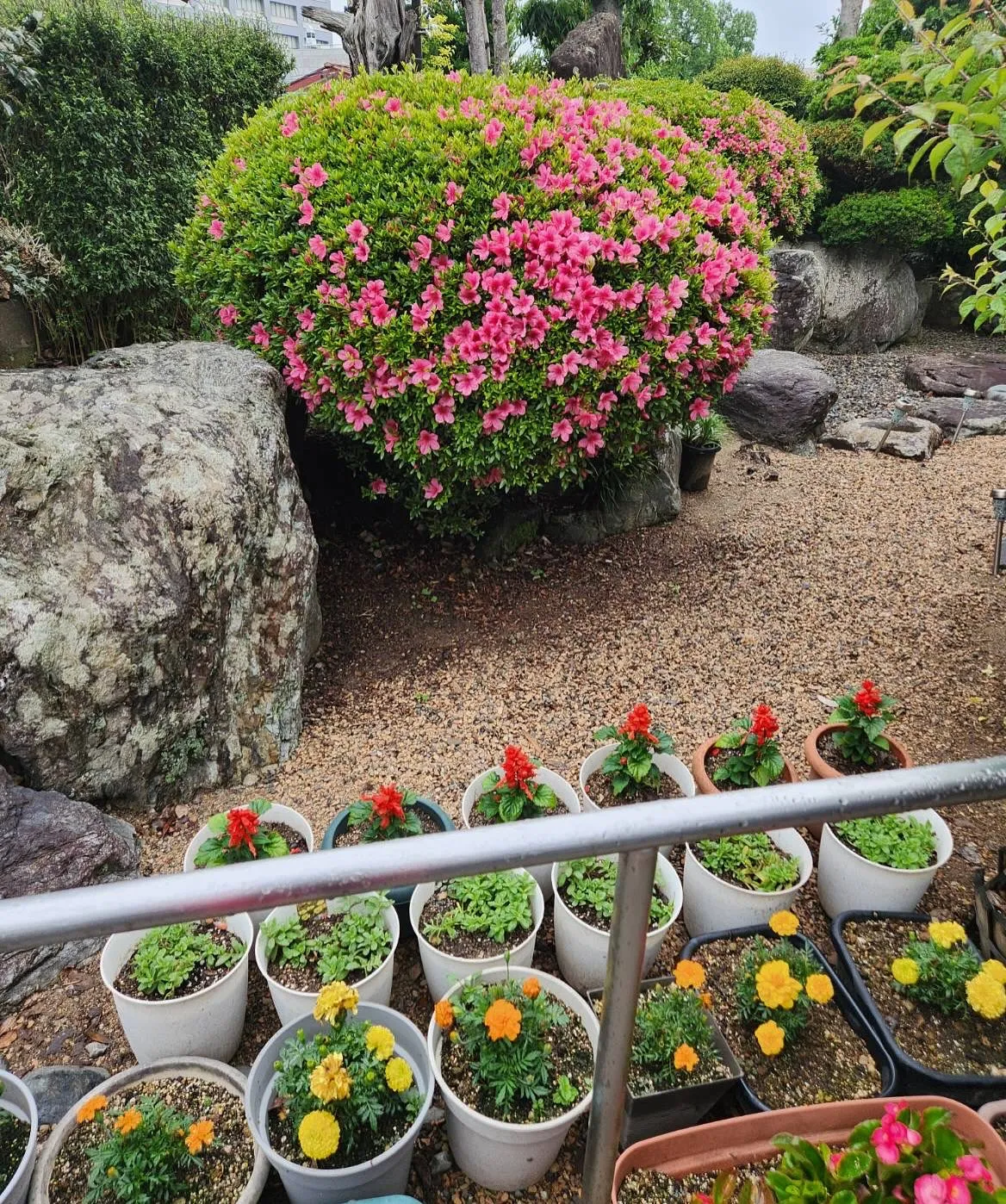 5月22日 金曜日💐