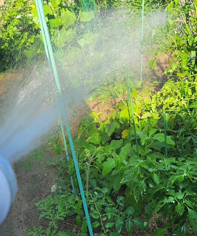 7月9日 木曜日🥵