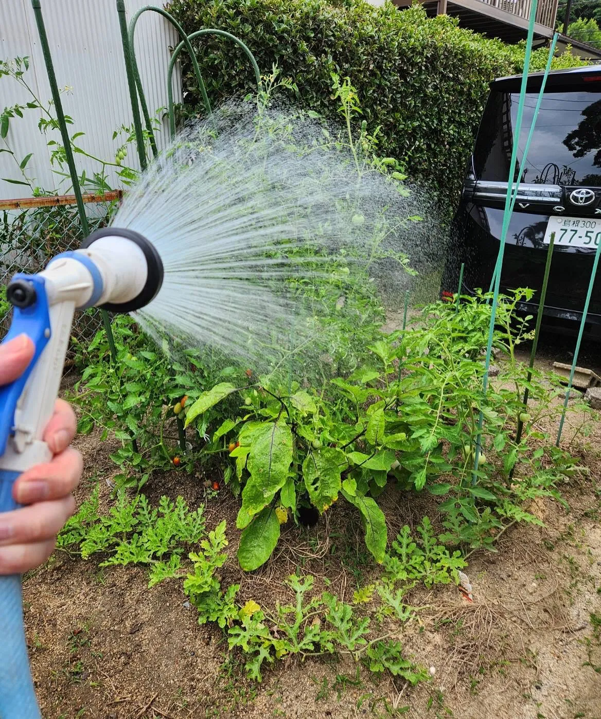 7月15日 水曜日☀️