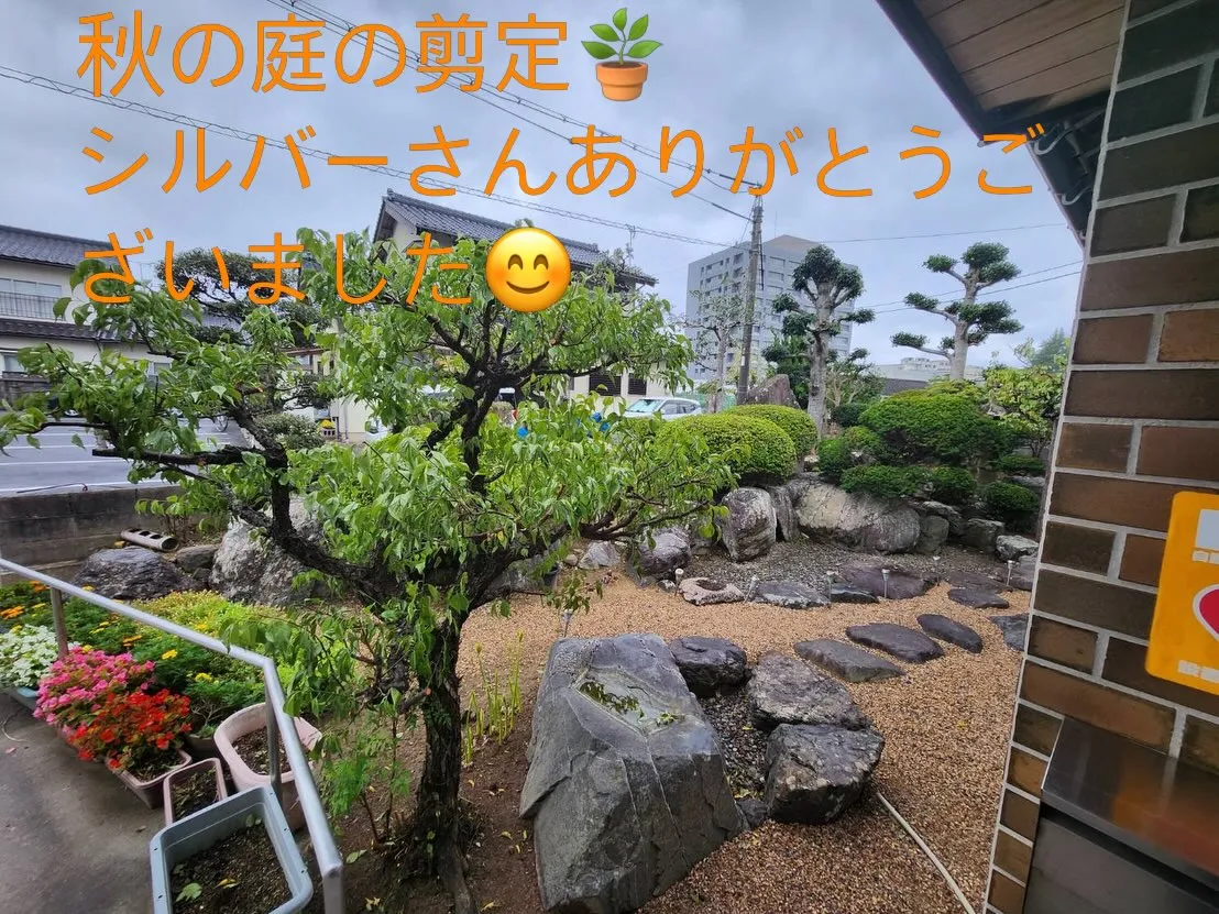 9月21日月曜日🪴