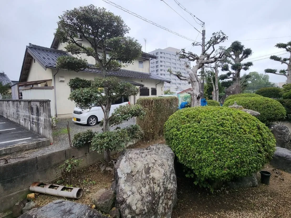 9月21日月曜日🪴